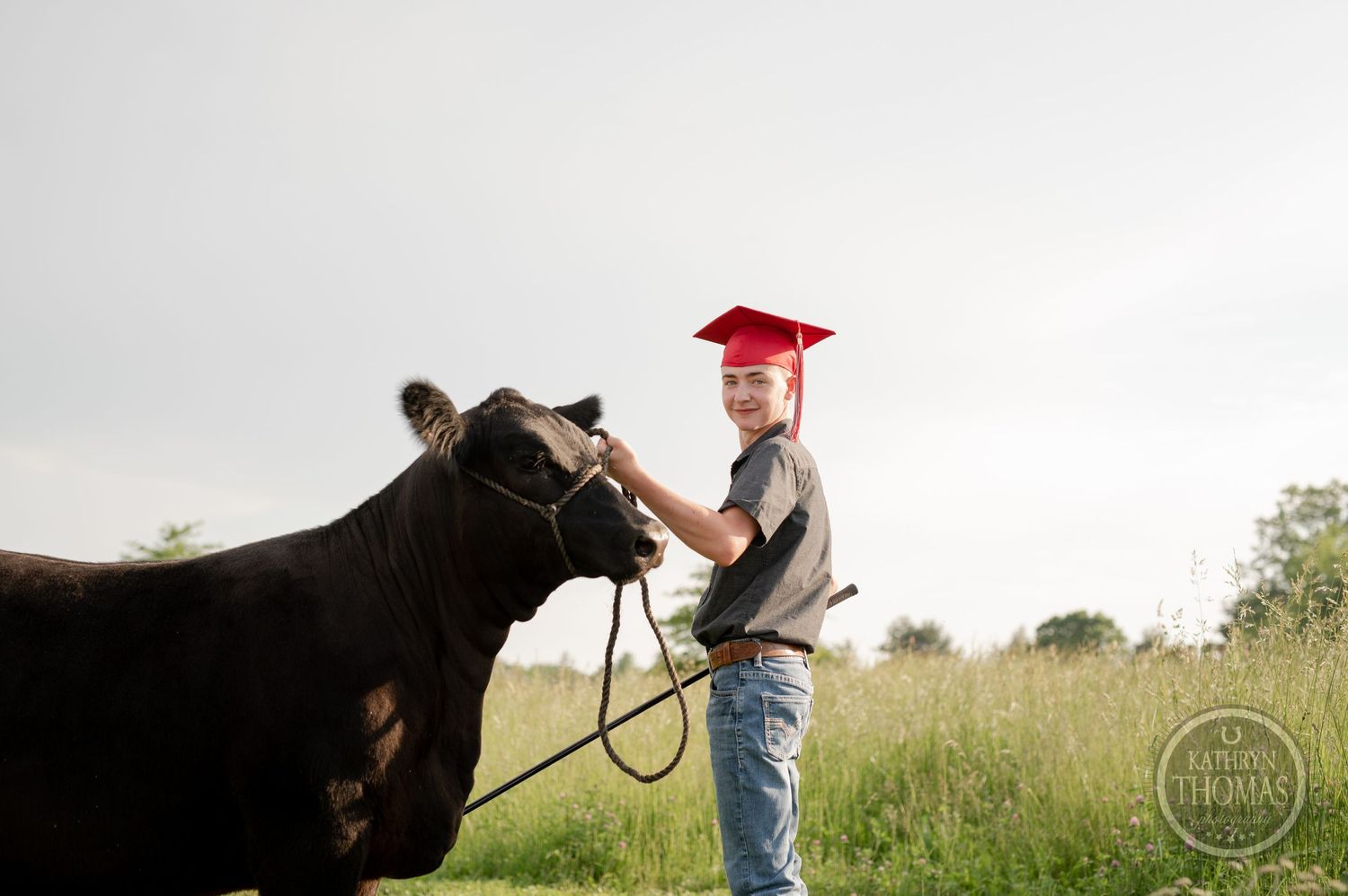 A graduate in red cap handles a black show cow against an overcast sky.