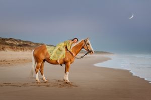 equisoul photography fine art equine photographer melbourne victoria australia portrait gould mel melanie sunset horse and rider