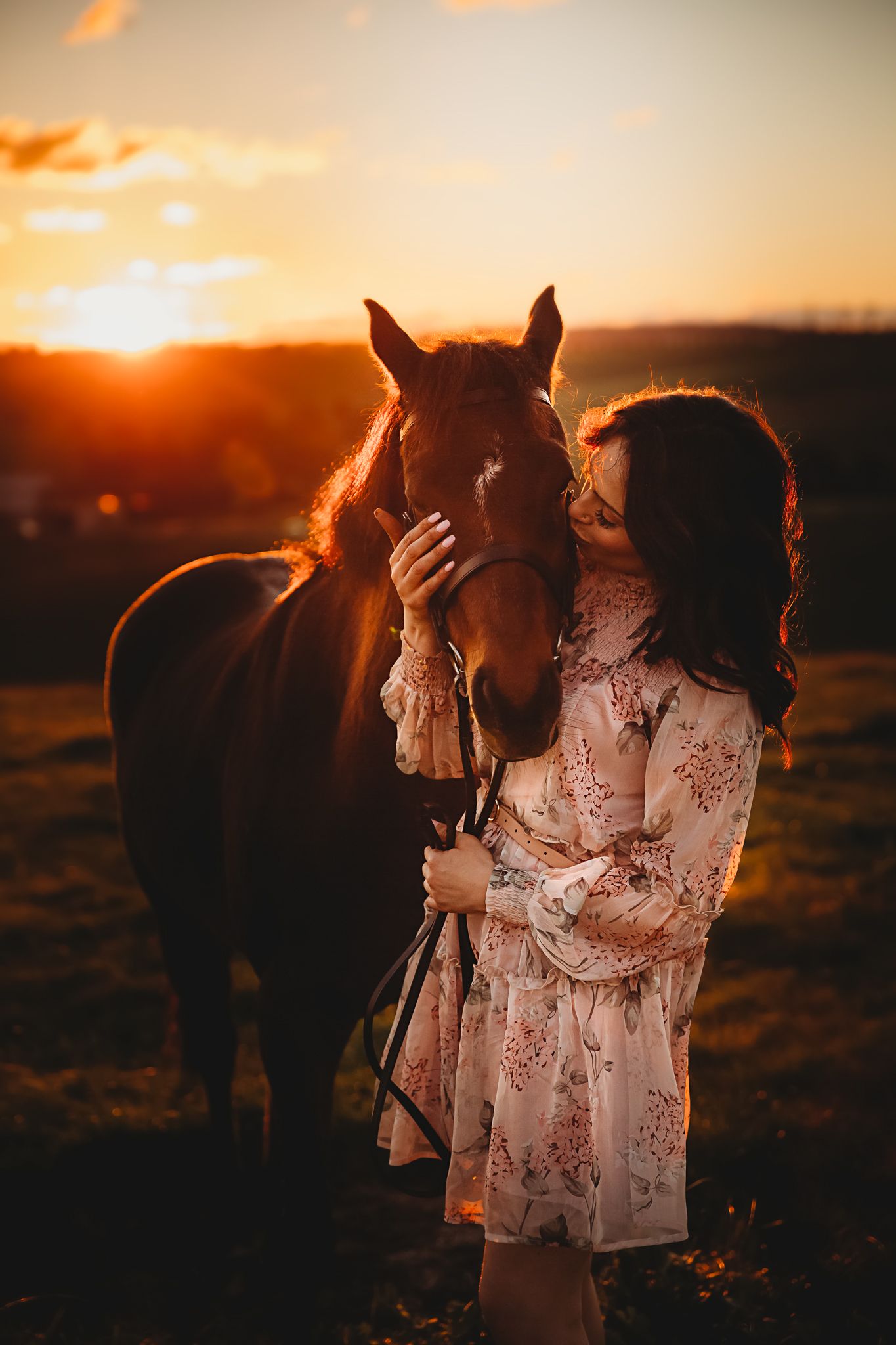 equisoul photography fine art equine photographer melbourne victoria australia portrait commercial sunset golden hour horse and rider