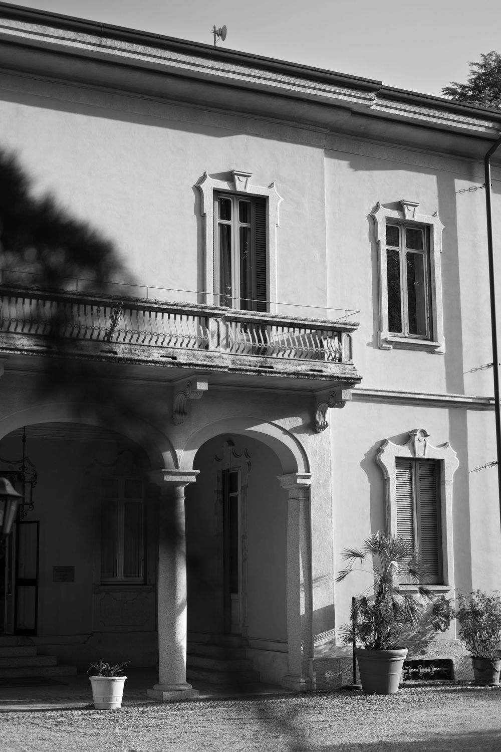Black and white photo of an elegant Italian villa with an arched portico, stone balcony, tall shuttered windows and potted palms.
