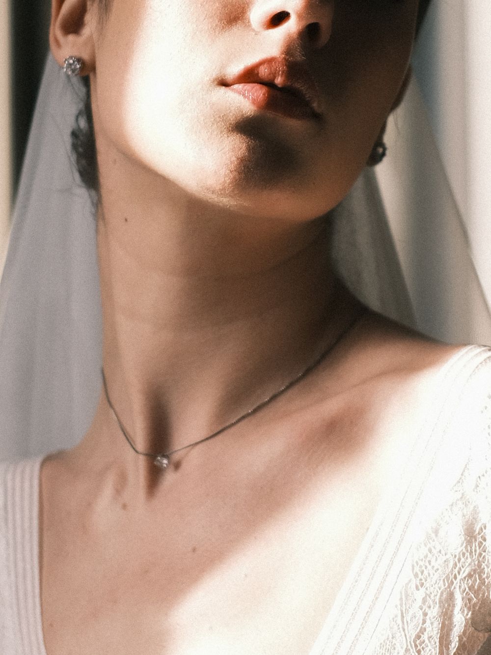 Elegant bridal portrait with veil and soft natural light.