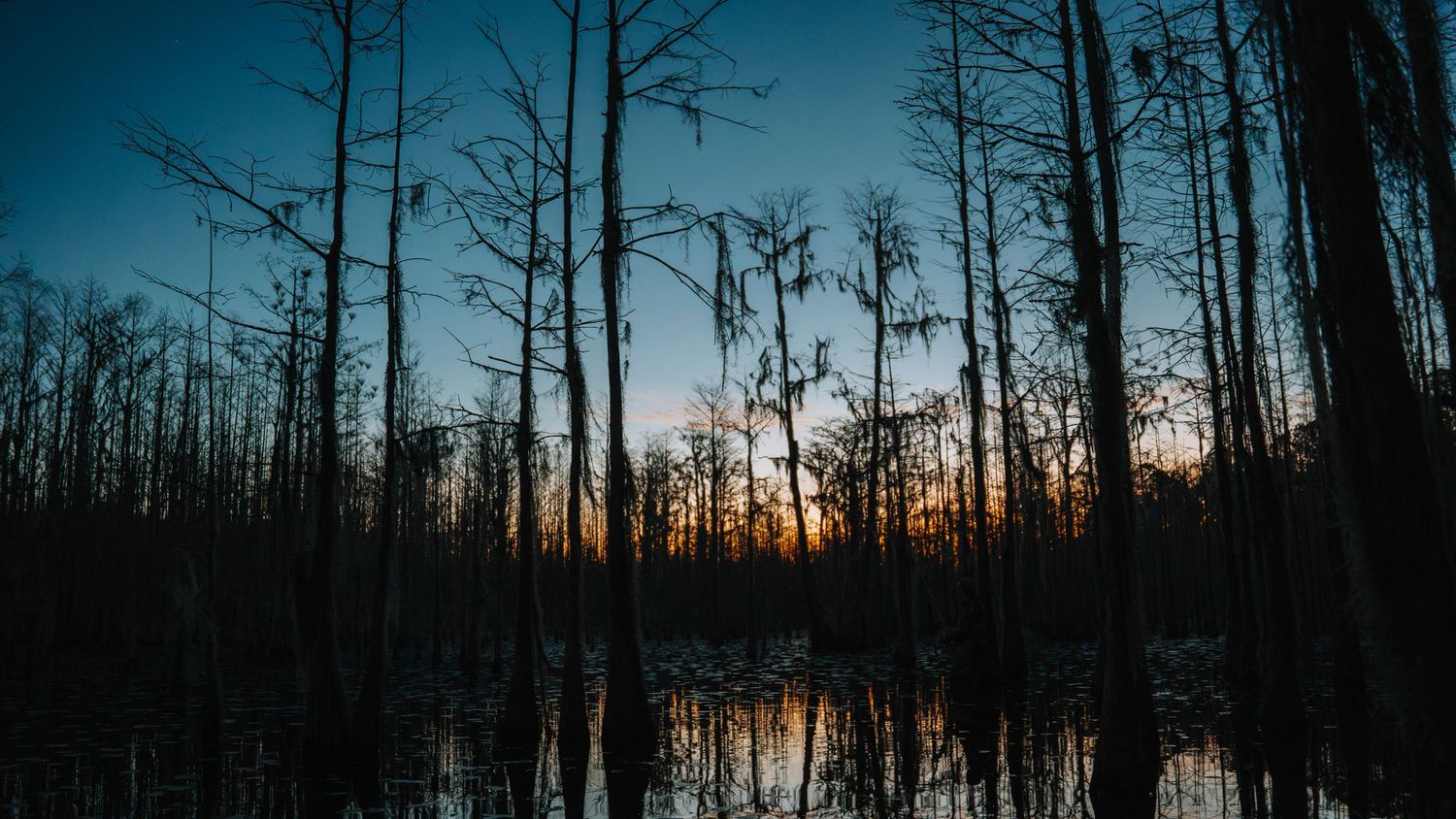 Scarborough Pond Sunrise