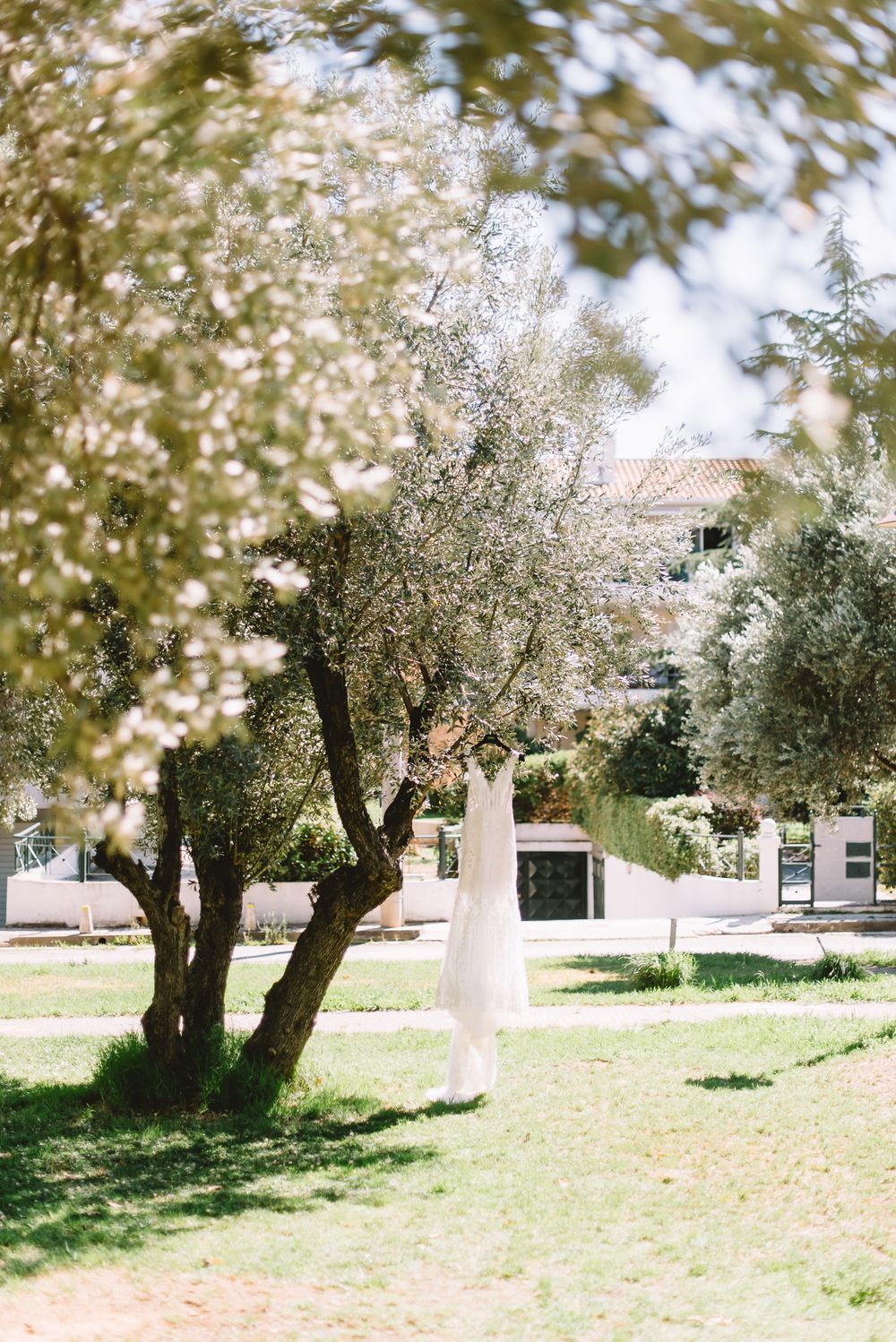 A white wedding dress hangs from a blooming tree branch in a sunlit garden setting.