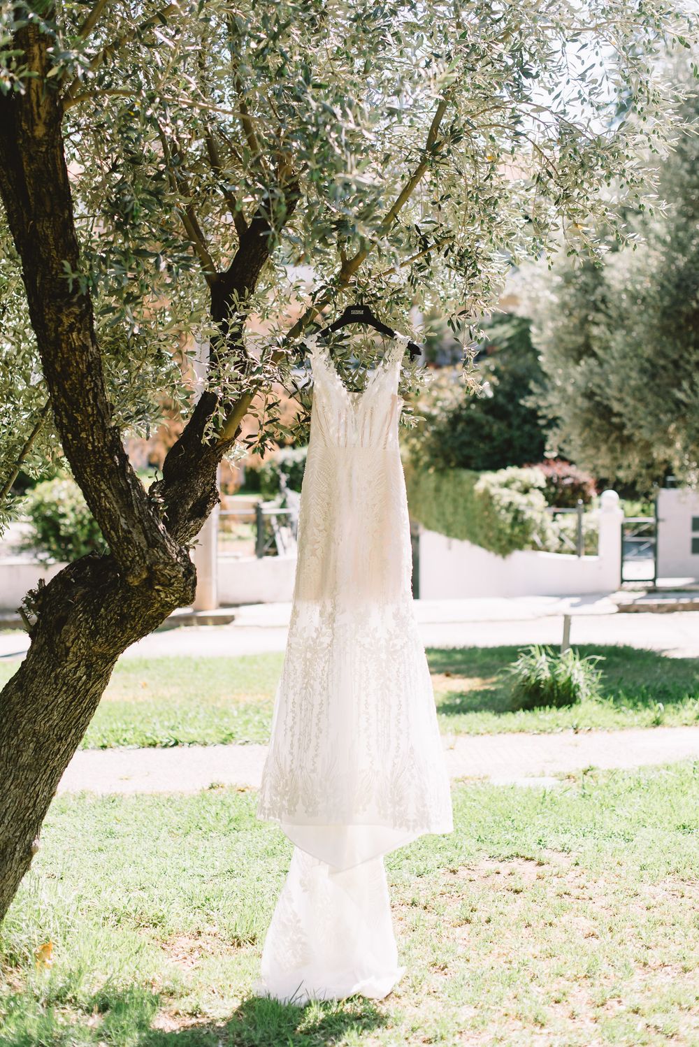 Four cream colored wedding dresses hanging from olive tree branches in a sunlit garden setting.