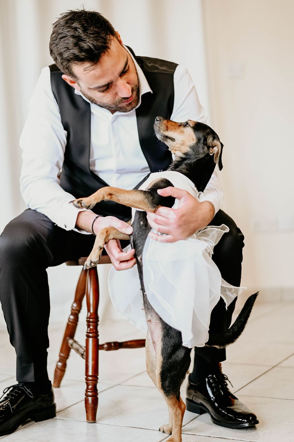A person in formal attire sits on a wooden stool while interacting with a playful black and tan dog.