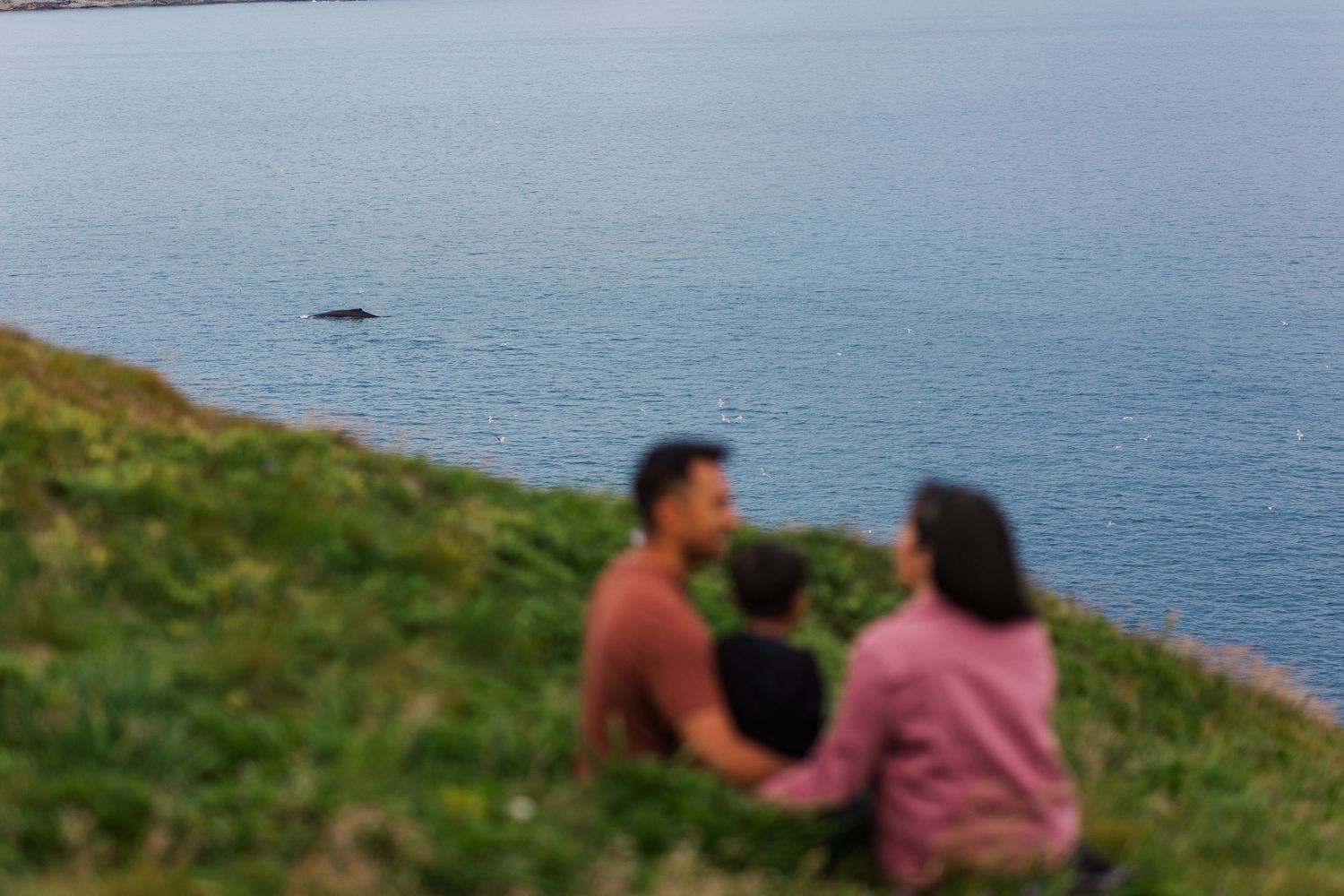 People searching for treasures along a beautiful coastal shoreline at sunset. Photography in Brigus, Newfoundland and Labrador
