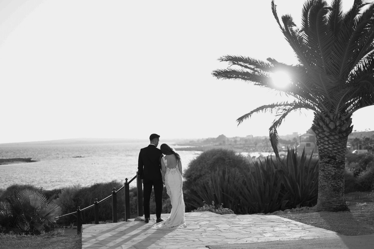 A panoramic black and white film sequence shows palm trees and silhouettes on a coastal Mediterranean landscape at sunset.