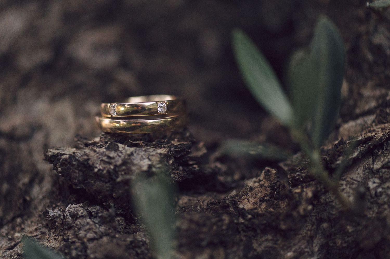 Wedding rings photographed in artistic macro detail against a dark textured background.