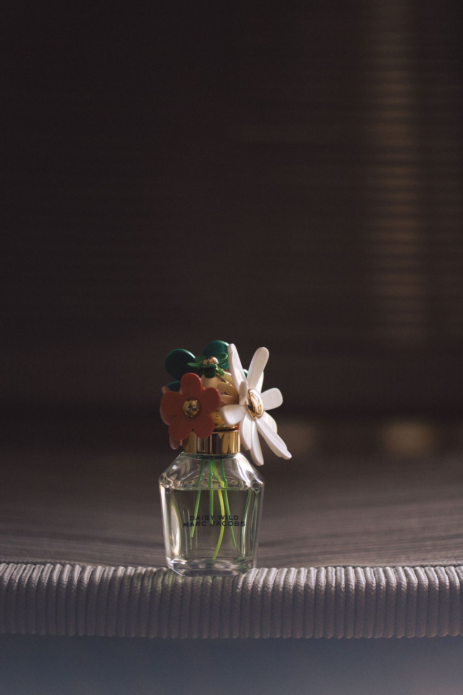 Small white flowers rest delicately in a glass jar on a ribbed surface in a moody, dark setting.