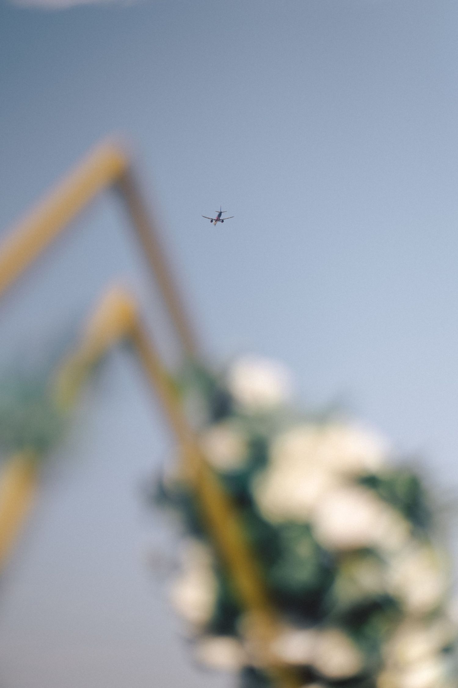 A sequence of blurry, abstract outdoor shots showing glimpses of sky, greenery and natural elements in soft focus.