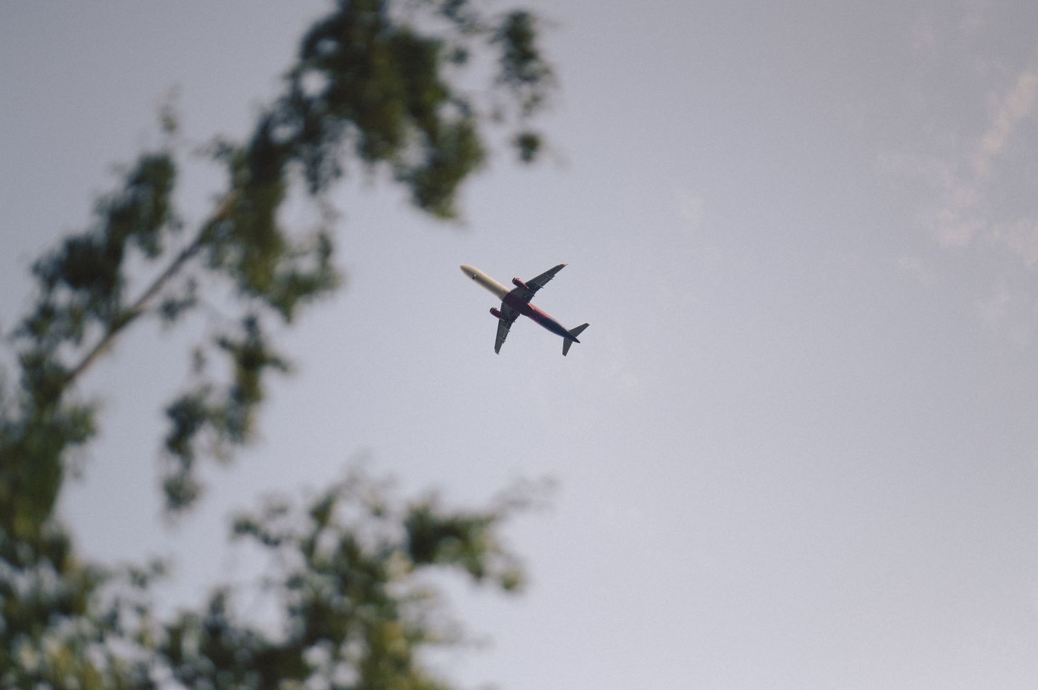 Commercial airplane silhouette flying overhead against cloudy sky with tree branches in foreground.