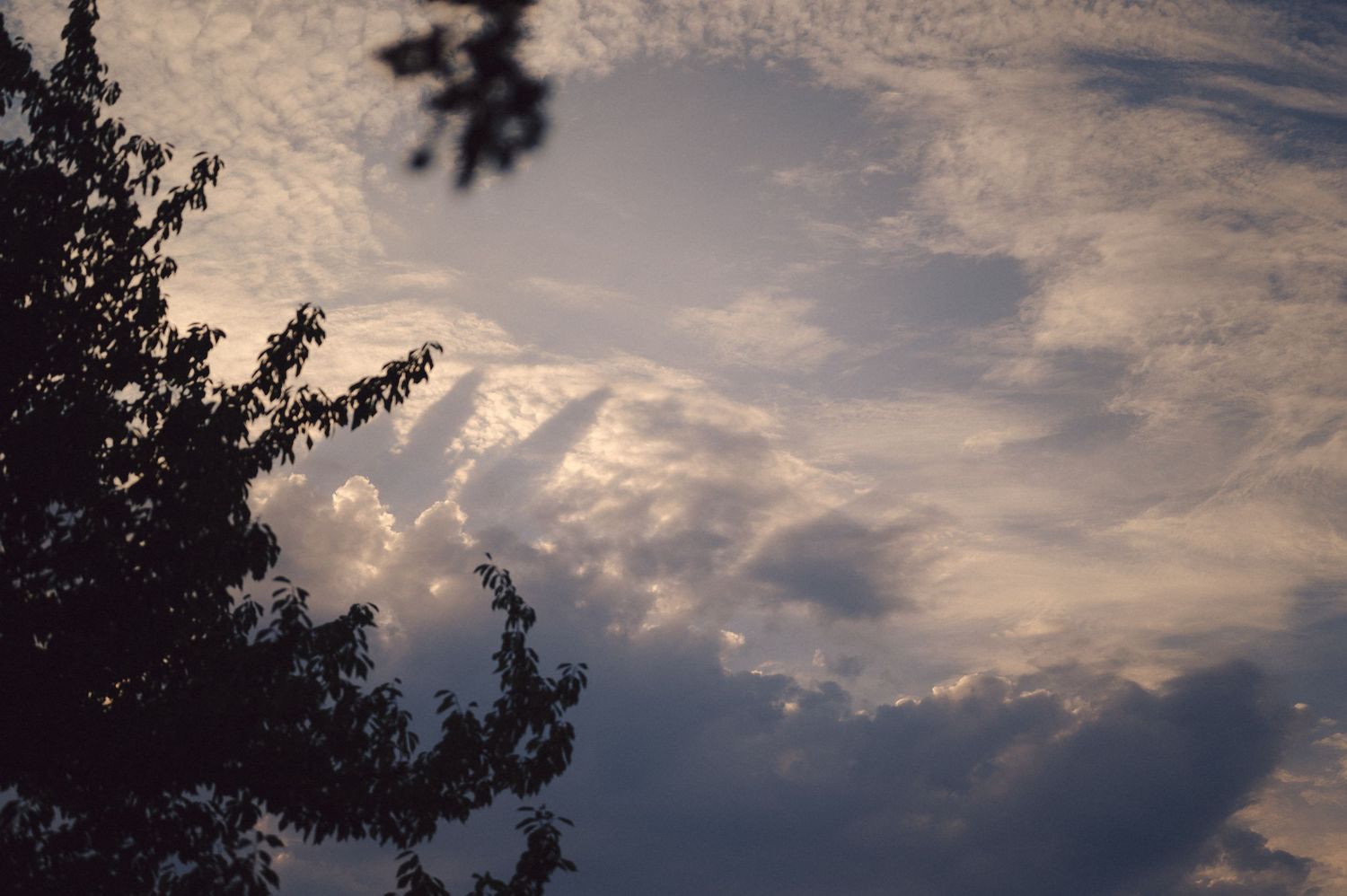 Dramatic sunset sky with wispy clouds and dark tree silhouette casting shadows against moody evening light.