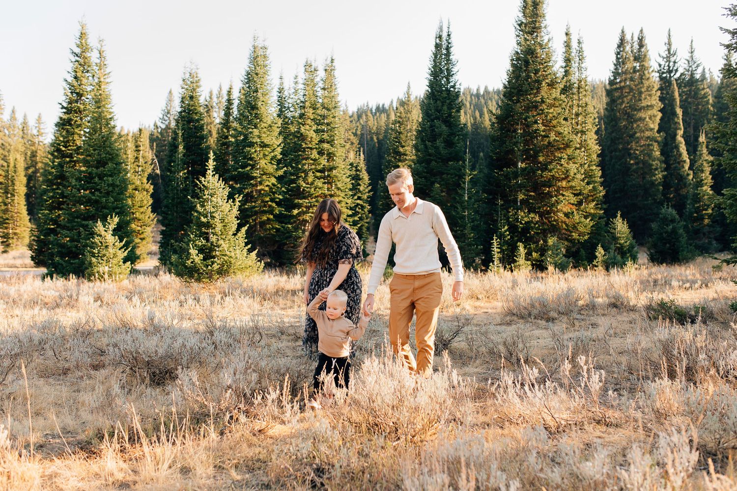 Couple walking through golden mountain meadow with evergreen forest backdrop.