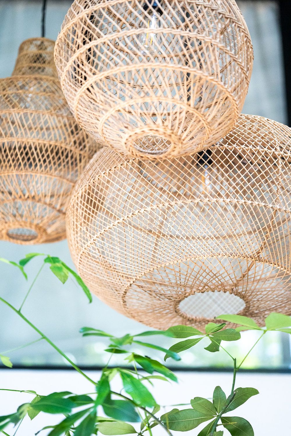 Decorative woven bamboo pendant light fixtures with tropical green leaves in the foreground.