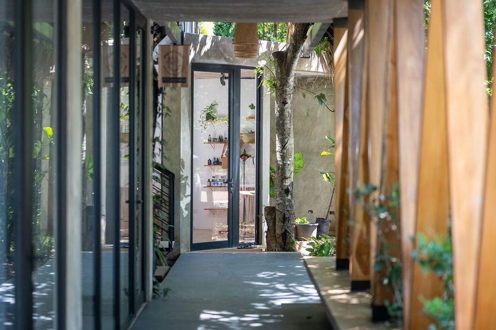 Sunlit covered walkway between buildings with glass doors and potted plants along corridor.