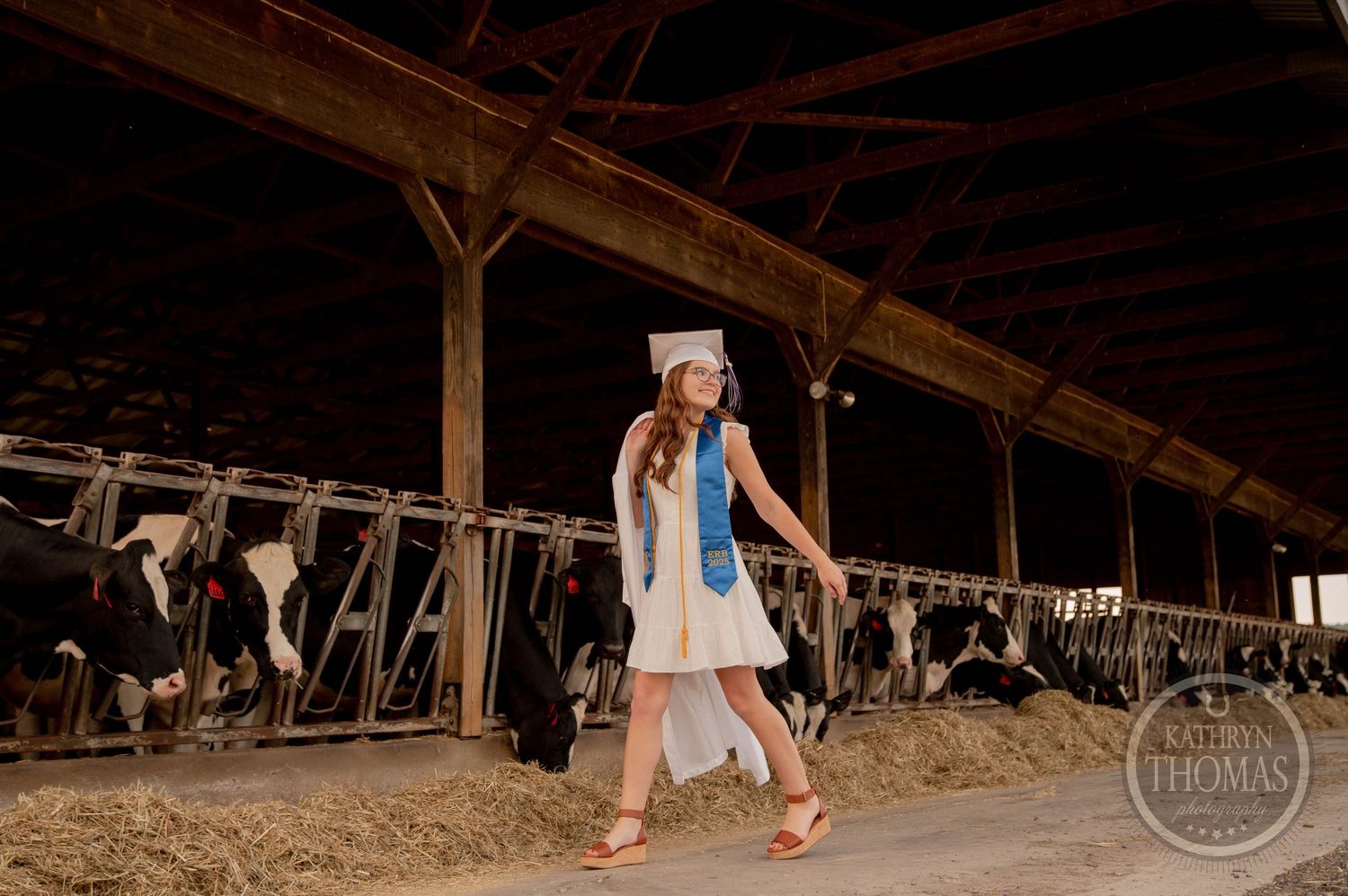 A figure in a white dress and blue vest walks past dairy cows in their stalls at a rustic wooden barn.