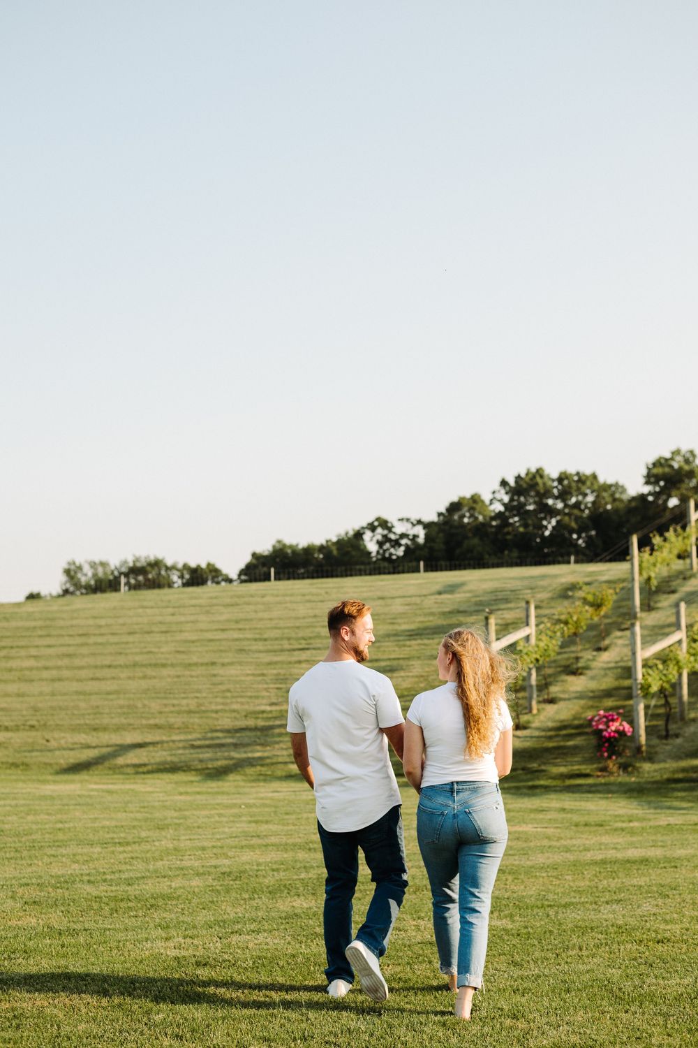 A couple walks up a grassy hillside vineyard holding hands during a romantic outdoor photoshoot at sunset.