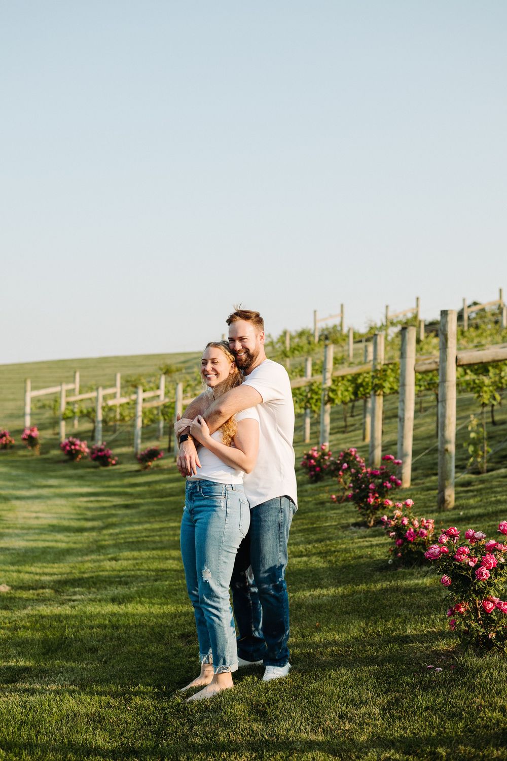 A sweet embrace in a vineyard with rows of blooming roses and grape vines on a sunny afternoon.