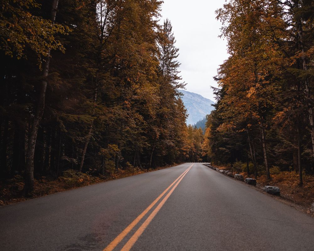 Tree-lined mountain road with vibrant autumn foliage and distant peaks.