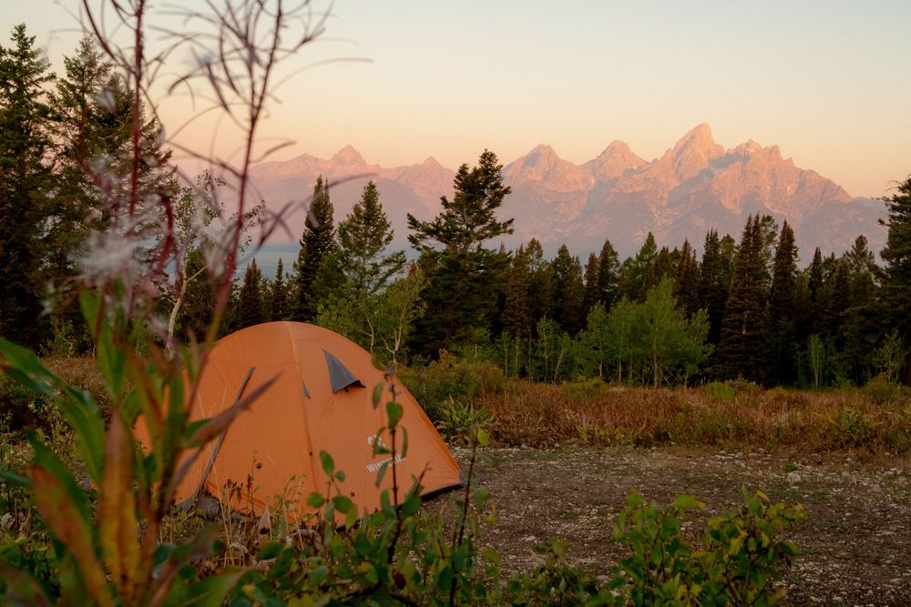 Orange tent camping at sunset with Grand Teton mountain range backdrop, surrounded by pine trees and wildflowers.
