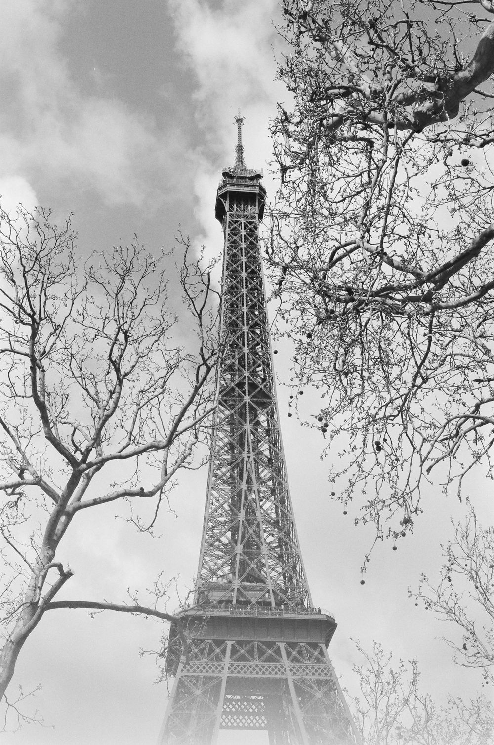 Black and white view of the Eiffel Tower in Paris framed by bare tree branches against a cloudy sky.