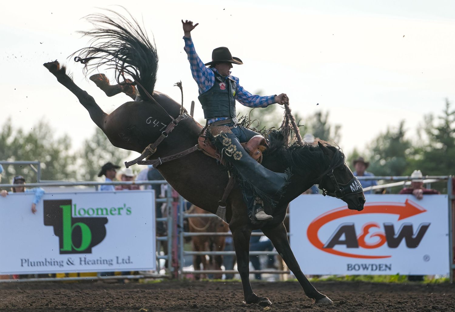 Bowden Daze Pro Rodeo