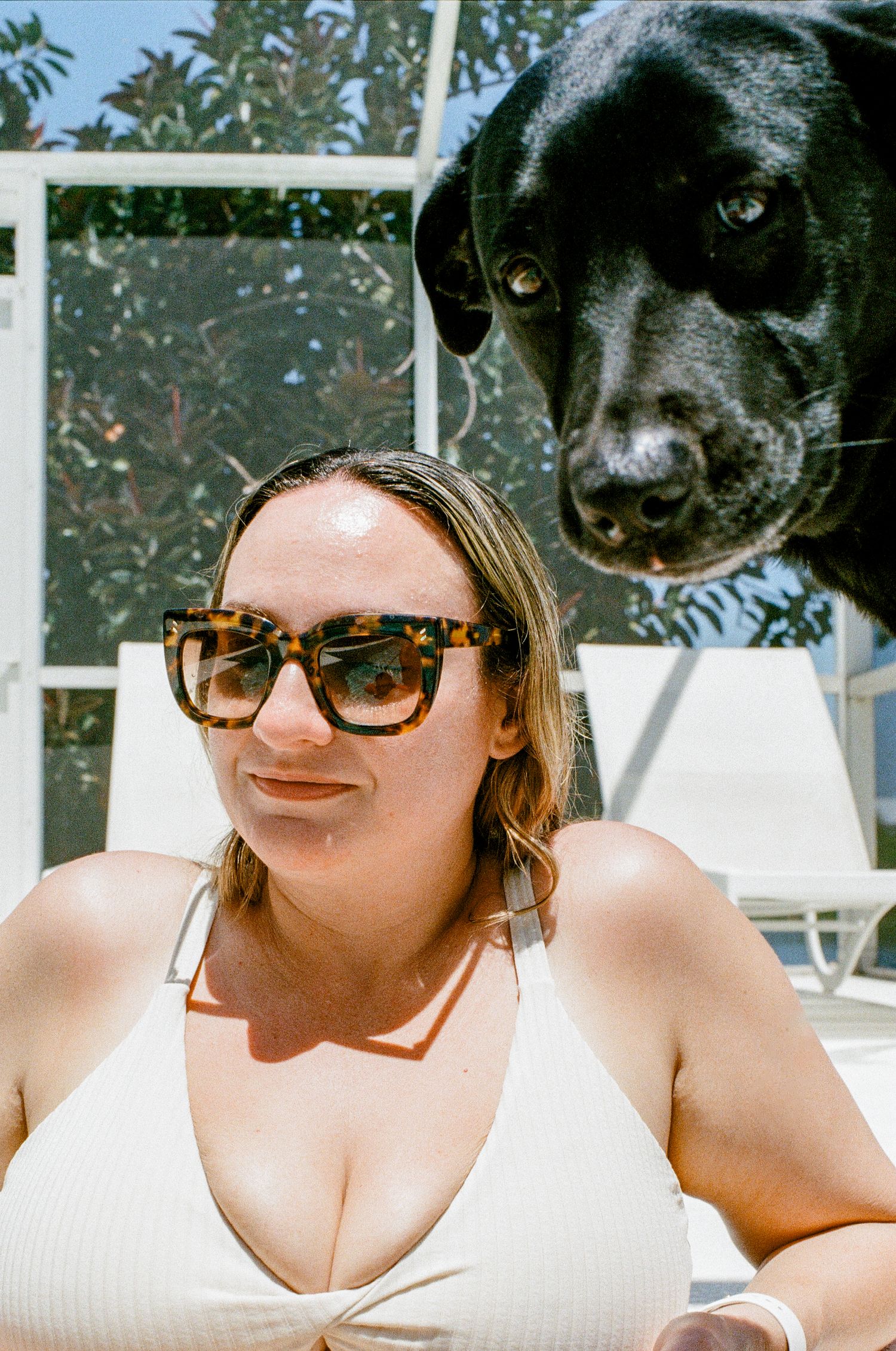 A black Labrador dog peers over someone's shoulder outdoors on a sunny day as they wear sunglasses and white top.