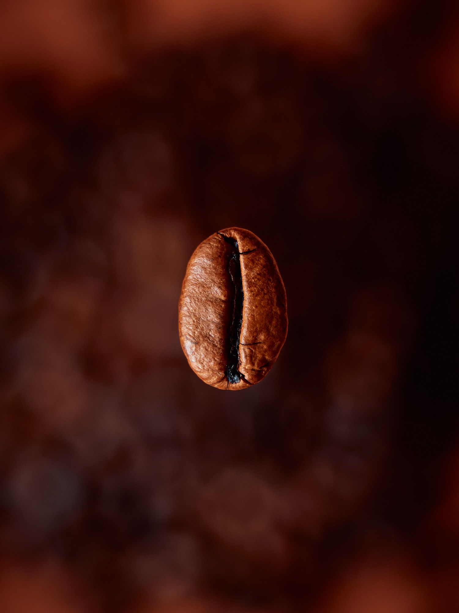 A single roasted coffee bean floating against a dark brown background in macro photography.