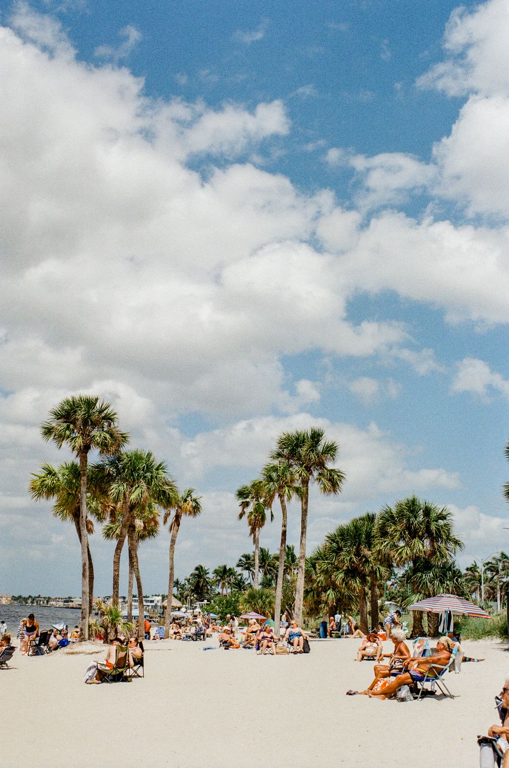 Beachgoers relax on a sunny day under tall palm trees at a Florida beach with white sand and fluffy clouds overhead.