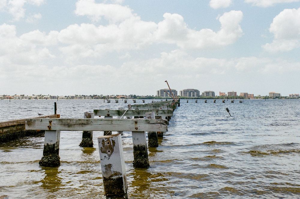 Old wooden pier posts stretch into calm blue waters with coastal buildings visible on the distant shoreline.