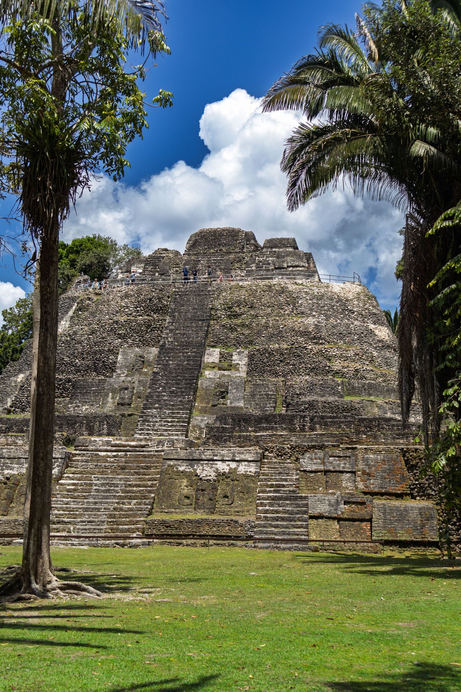 Ancient Mayan temple pyramid with palm trees framing the structure against blue sky.