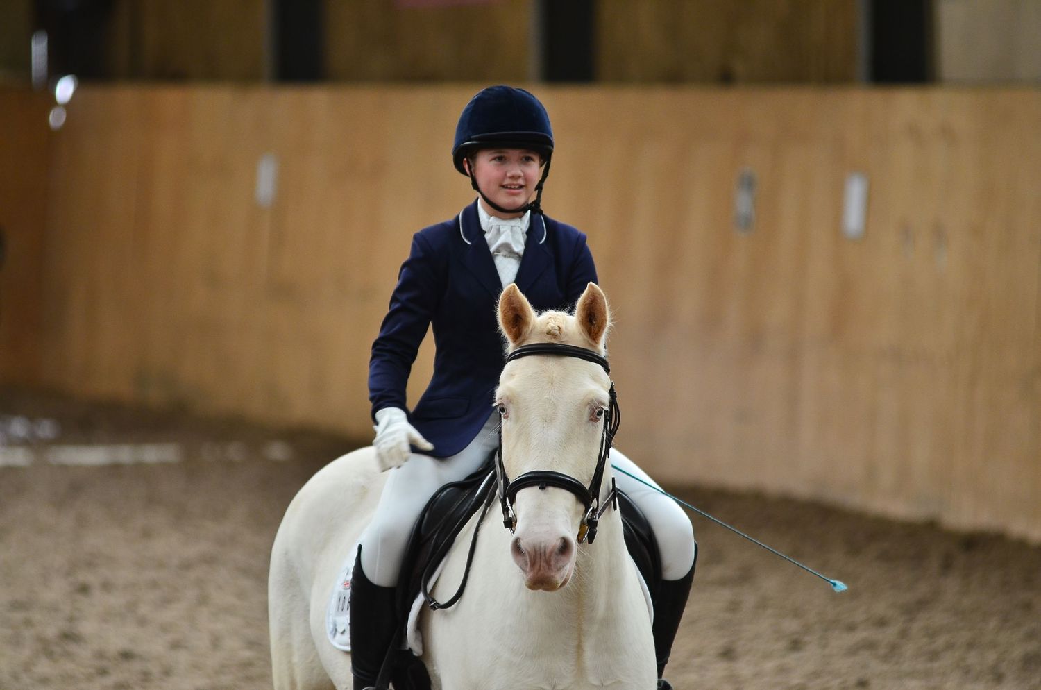 A white horse with rider in navy formal attire stands in an indoor riding arena.