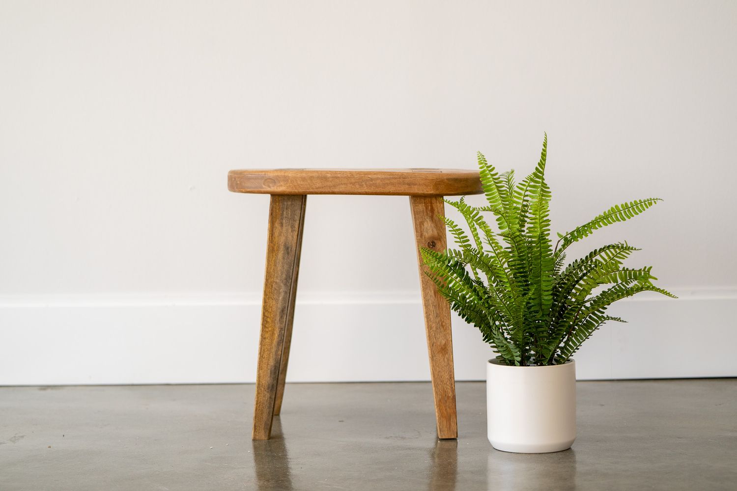 A black wooden step stool sits beside a potted fern plant against a light neutral wall on a concrete floor.
