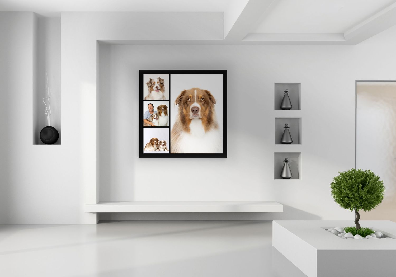 Modern white interior with a framed brown and white dog portrait and small decorative potted tree.