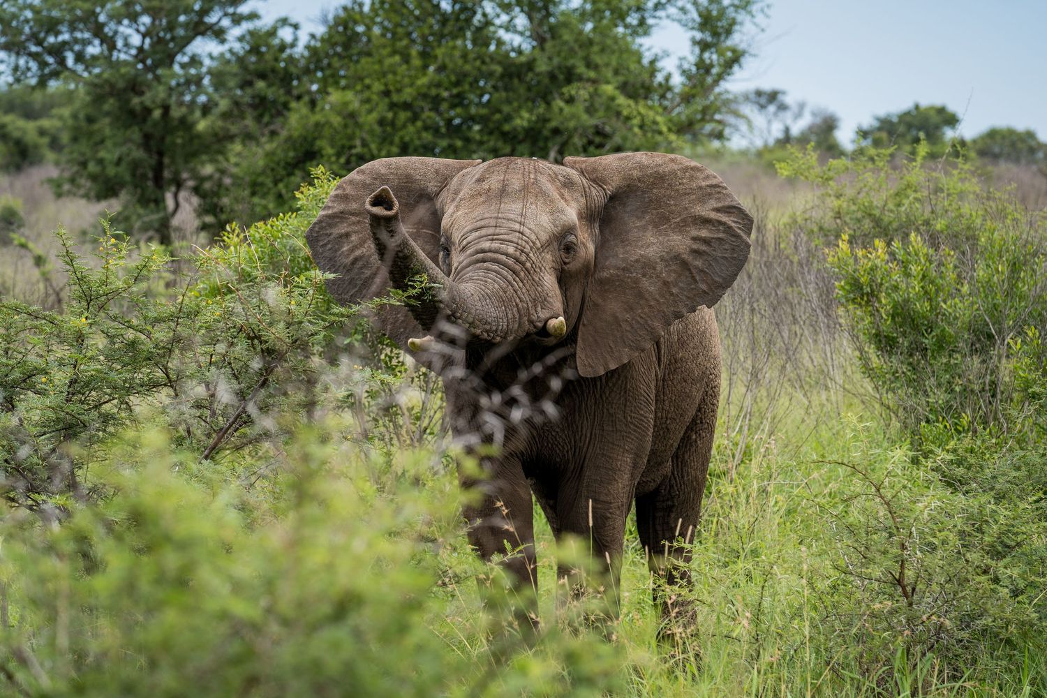 Jeremy working in South Africa
