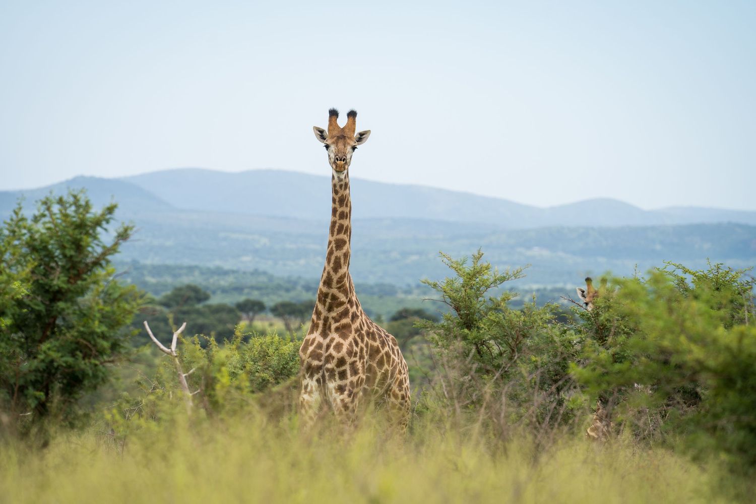 Jeremy working in South Africa