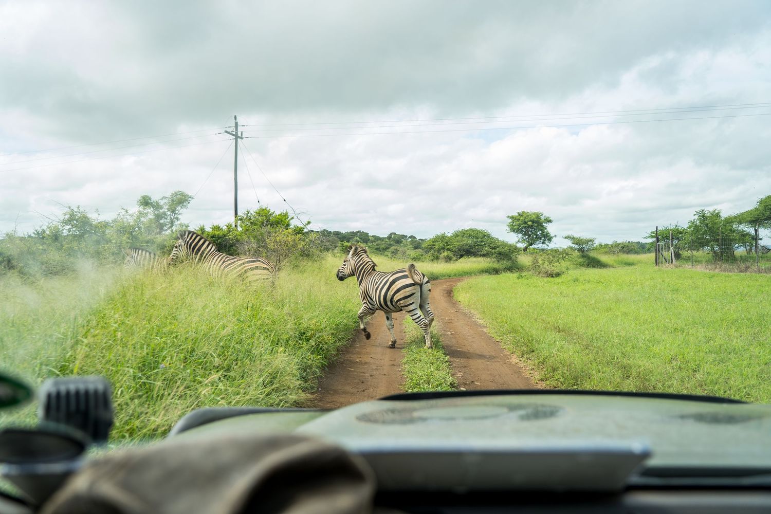 Jeremy working in South Africa