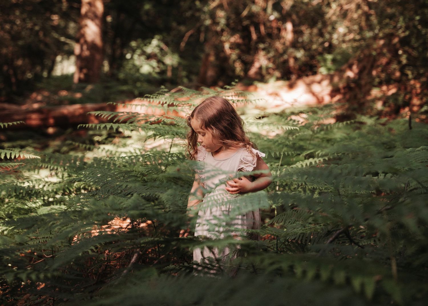 Small child in a white dress stands surrounded by lush ferns in a sunlit forest setting.
