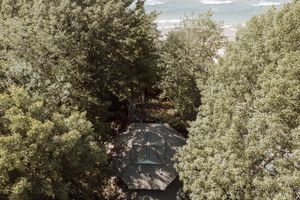Aerial view of a dark gray roof nestled among lush green trees during a bright summer day.