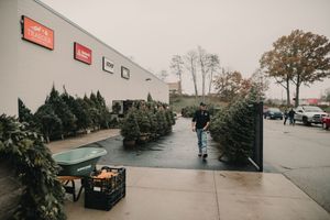 Christmas tree shopping at a retail lot with rows of fresh evergreen trees and orange produce crates on a rainy day.