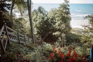 Wooden stairs descend through lush greenery towards a beach view with red flowers in the foreground.