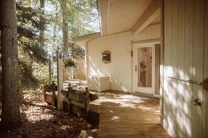 Sunlit wooden deck of a rustic cabin with benches nestled among tall forest trees casting dappled shadows.