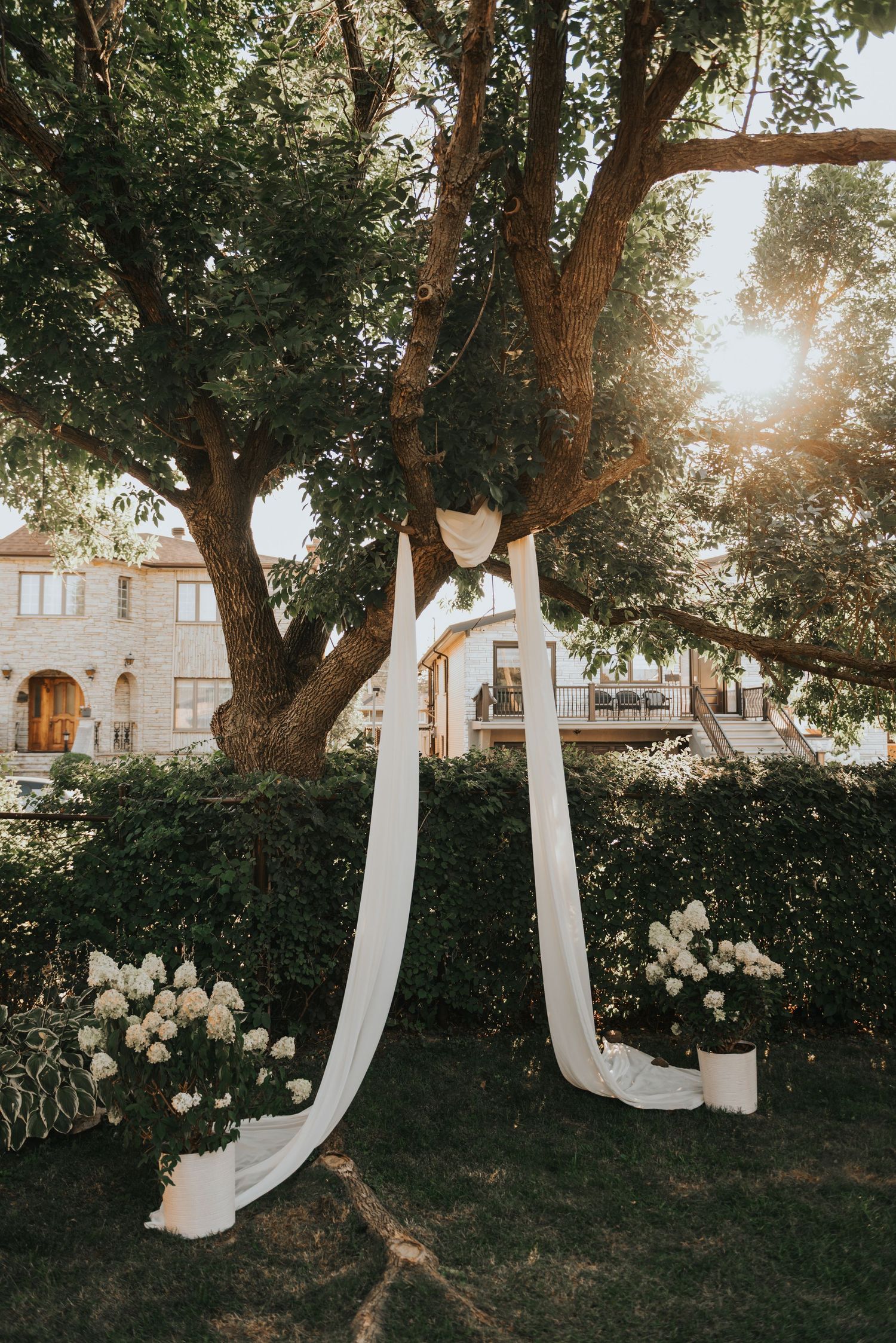 White sheer fabric drapes elegantly from a tree branch in a backyard garden setting during golden hour.