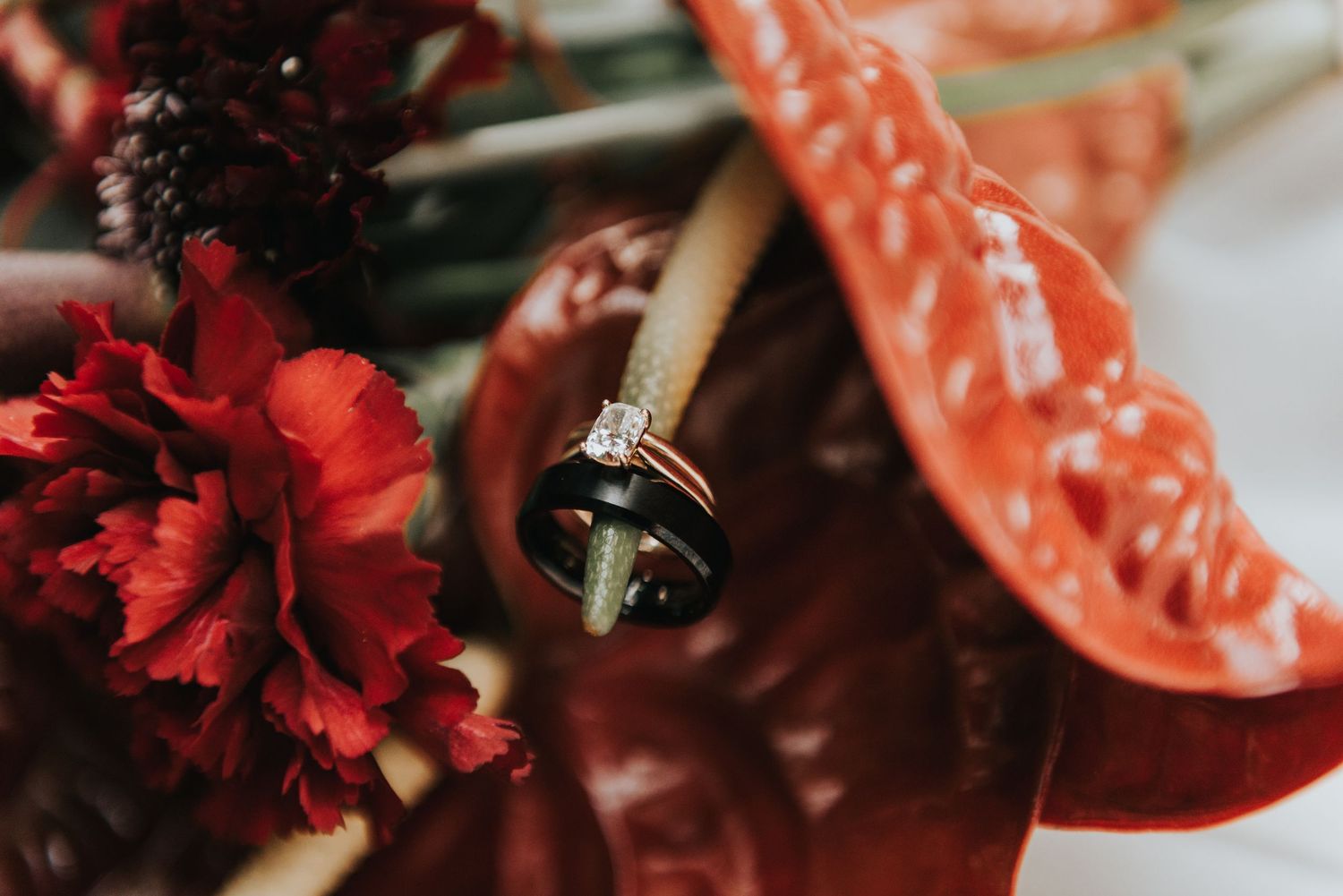 Vibrant red carnations and pink anthurium flowers create an elegant tropical floral arrangement against a dark background.