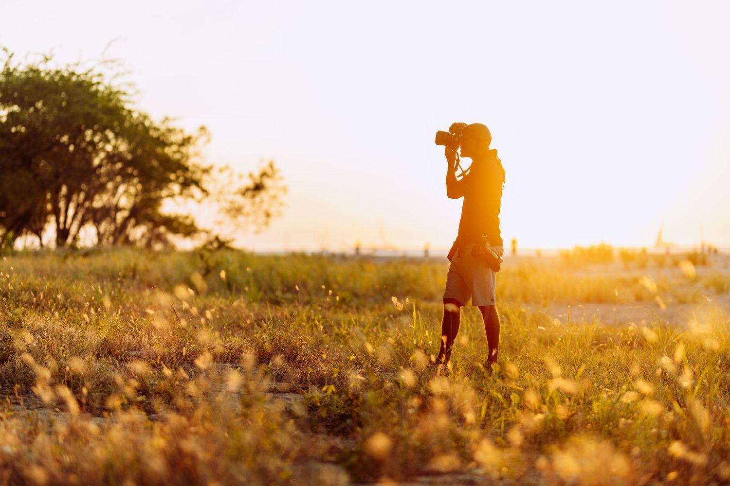 A silhouette of a photographer taking pictures during golden hour in a field.