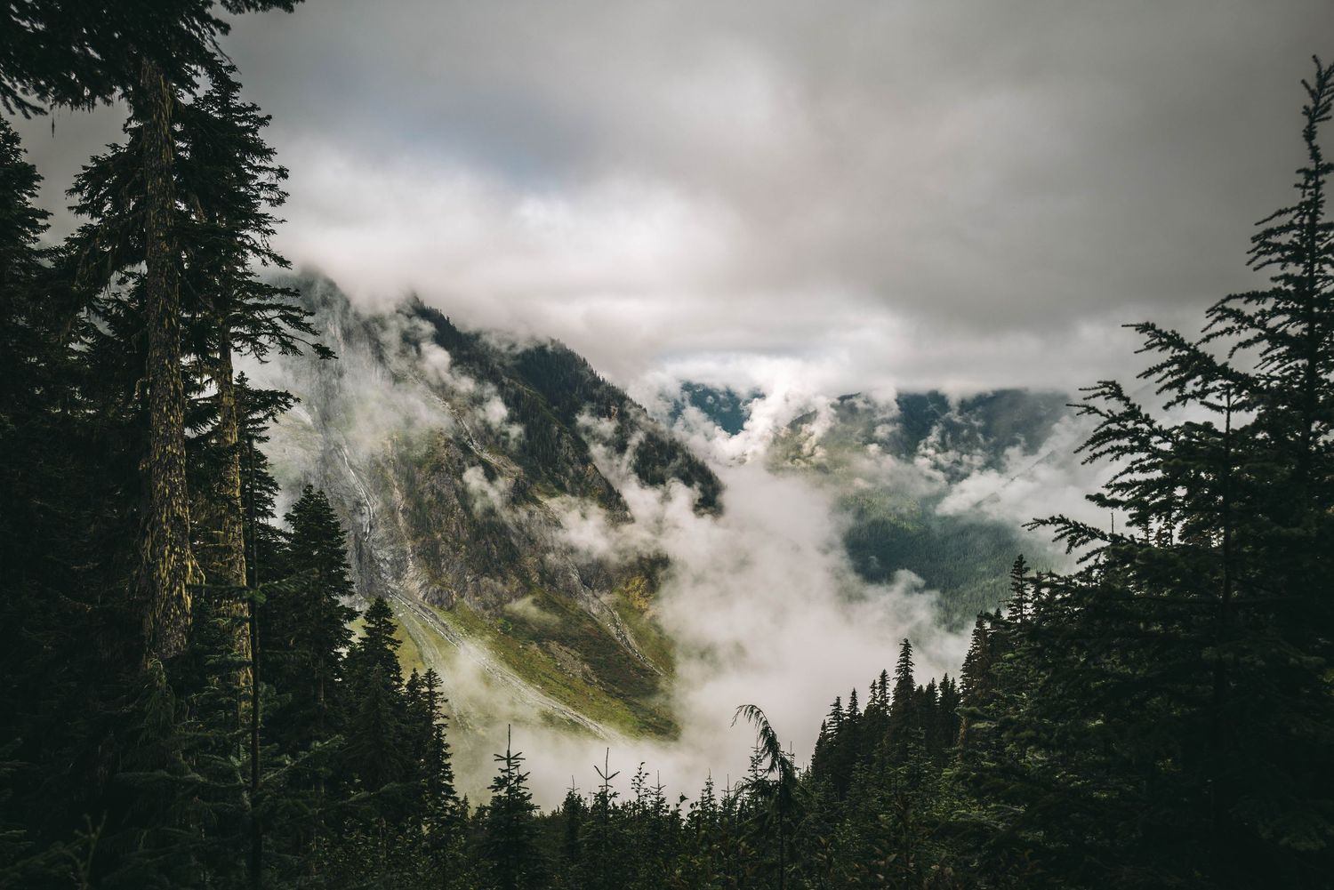 Dramatic mountain valley view with swirling clouds and mist through pine tree frame.