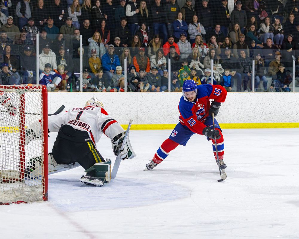 Hockey player in red and blue uniform scores goal past goalie in white during packed arena game.