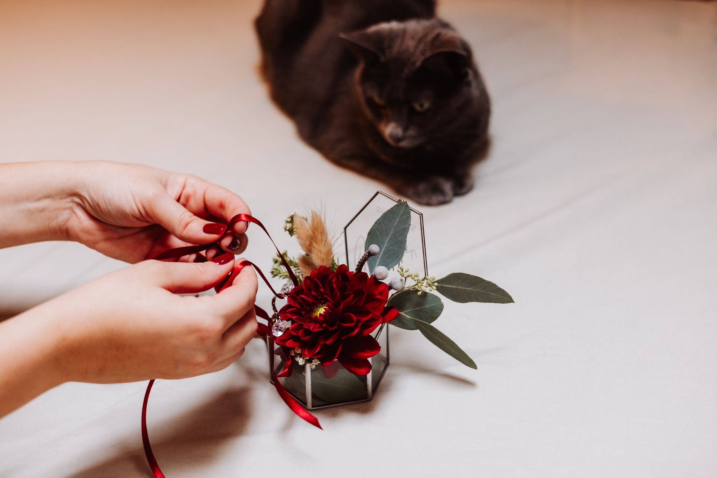A hand delicately arranges a deep red rose with green foliage against a white background in a series of photos.