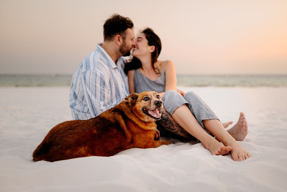 A couple shares a romantic moment on a white sandy beach at sunset with their brown dog resting beside them.