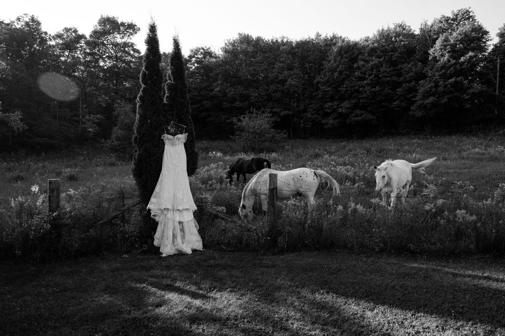 Black and white landscape featuring a wedding dress and horses in a dreamy field setting.